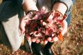 Pixabay: StockSnap